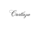 black white minimal simple modern classic photography studio salt logo 2 removebg preview